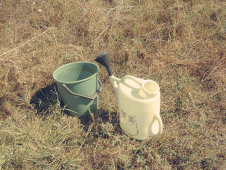 Karanowo & Nowa Sagora