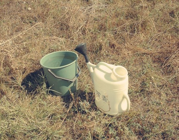 Karanowo & Nowa Sagora