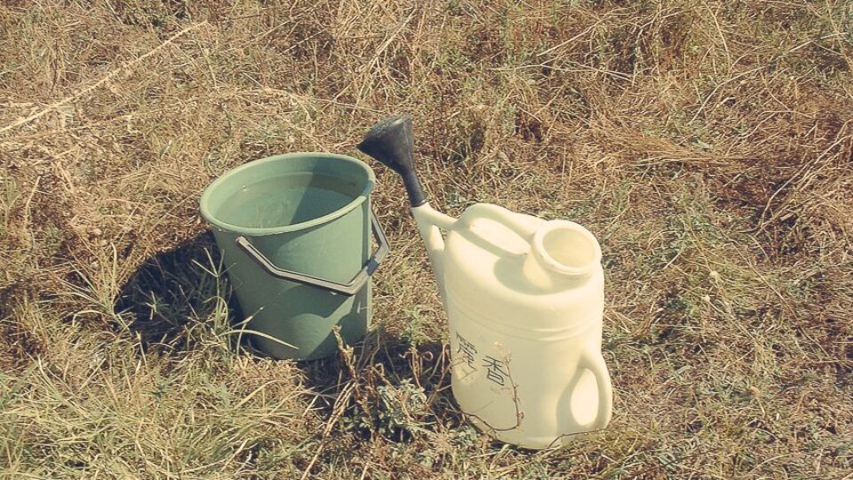 Karanowo & Nowa Sagora