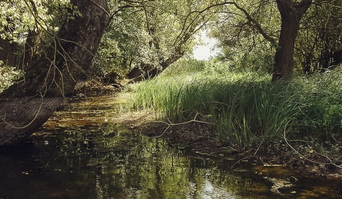 Toplata River