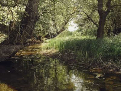 Toplata River