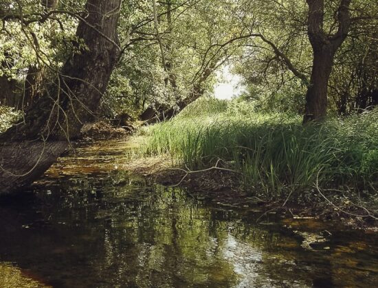 Toplata River