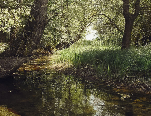 Toplata River