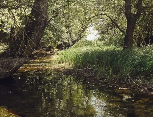 Toplata River