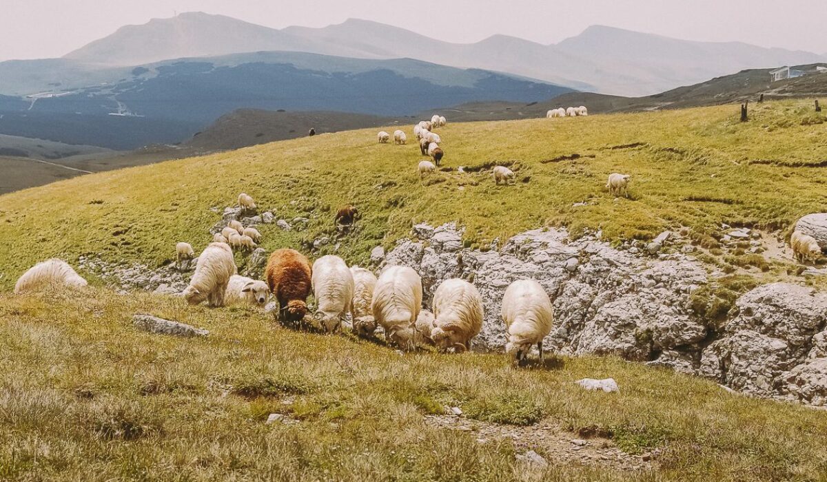ROMANIA