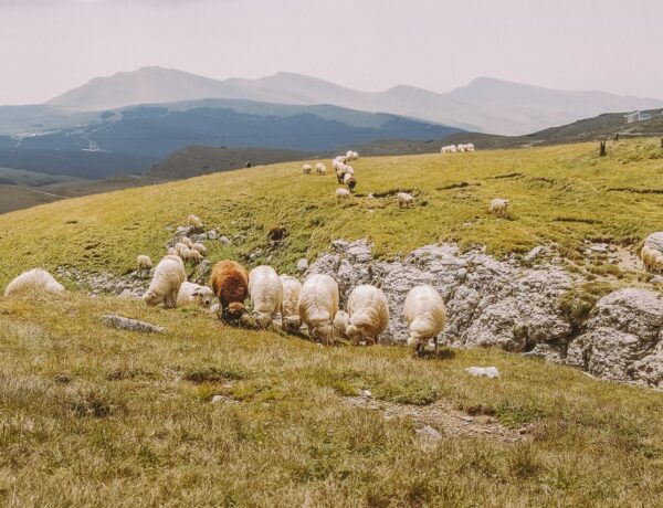 ROMANIA