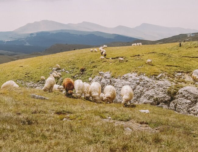 ROMANIA