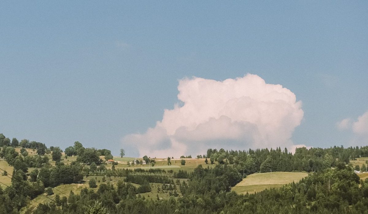 On the Way to Sighisoara
