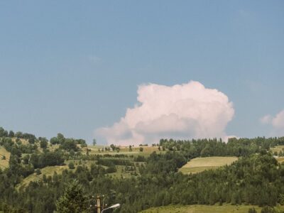 On the Way to Sighisoara