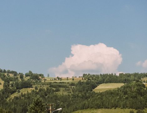On the Way to Sighisoara