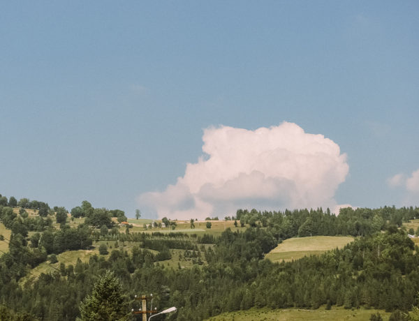 On the Way to Sighisoara