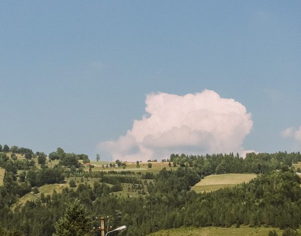 On the Way to Sighisoara