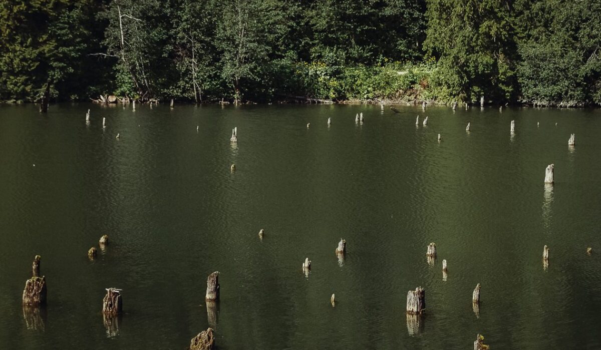 “Lacul Rosu” – The Red Lake