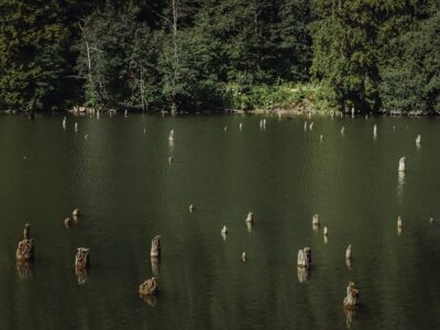 “Lacul Rosu” – The Red Lake