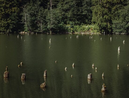 “Lacul Rosu” – The Red Lake