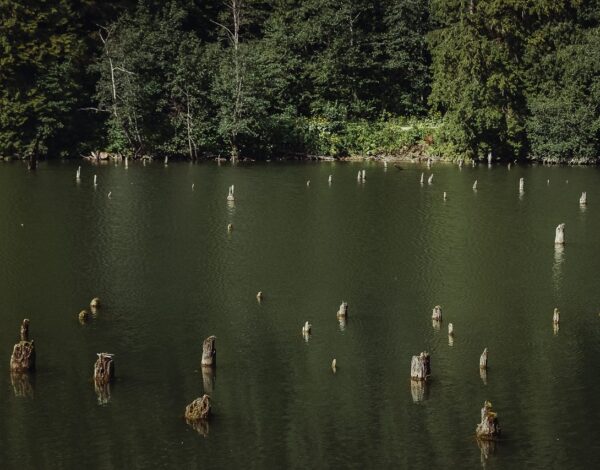 “Lacul Rosu” – The Red Lake