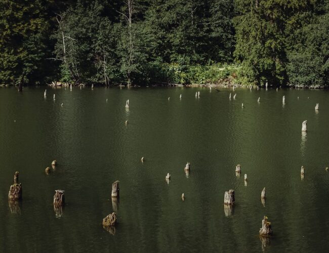 “Lacul Rosu” – The Red Lake