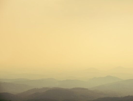 Malabar Wildlife Sanctuary