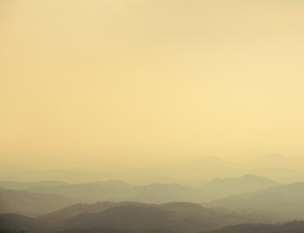 Malabar Wildlife Sanctuary