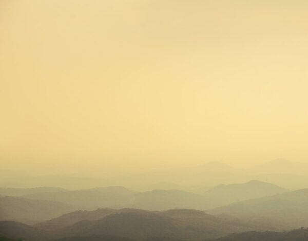 Malabar Wildlife Sanctuary