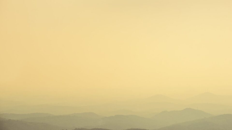 Malabar Wildlife Sanctuary