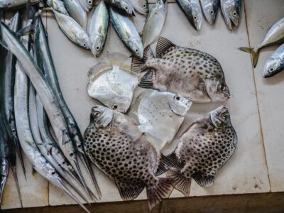The Fishermen Of Murdeshwar