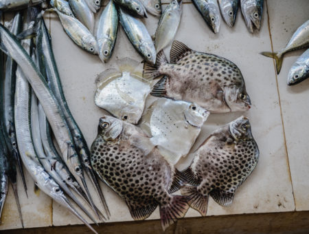 The Fishermen Of Murdeshwar