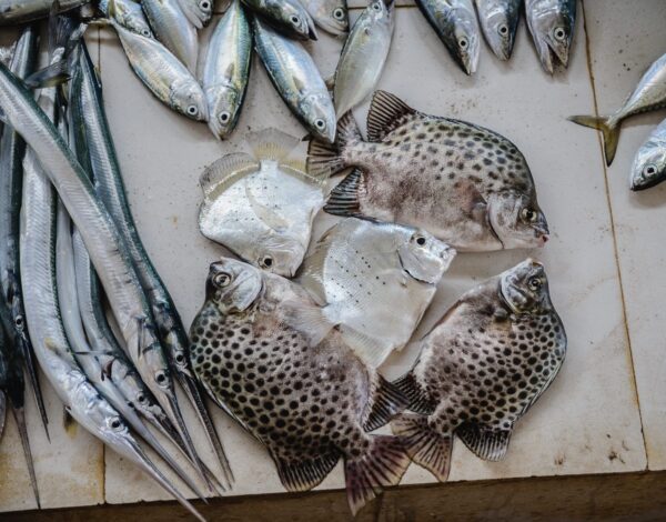 The Fishermen Of Murdeshwar