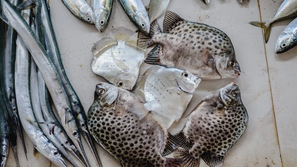The Fishermen Of Murdeshwar
