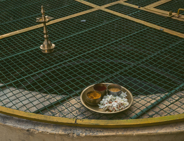 Gou Pooja Time