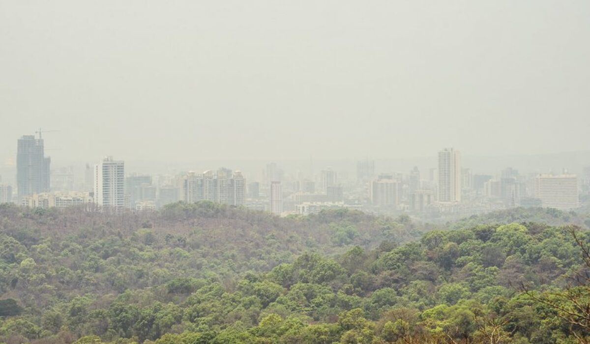 Mumbai: Sanjay Gandhi National Park
