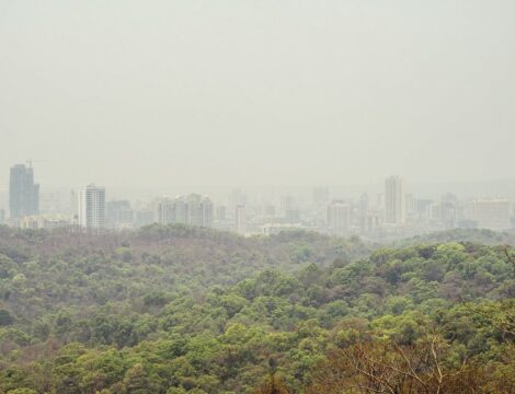 Mumbai: Sanjay Gandhi National Park
