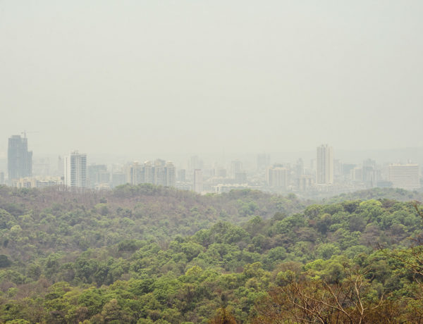 Mumbai: Sanjay Gandhi National Park