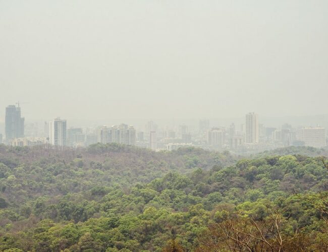 Mumbai: Sanjay Gandhi National Park