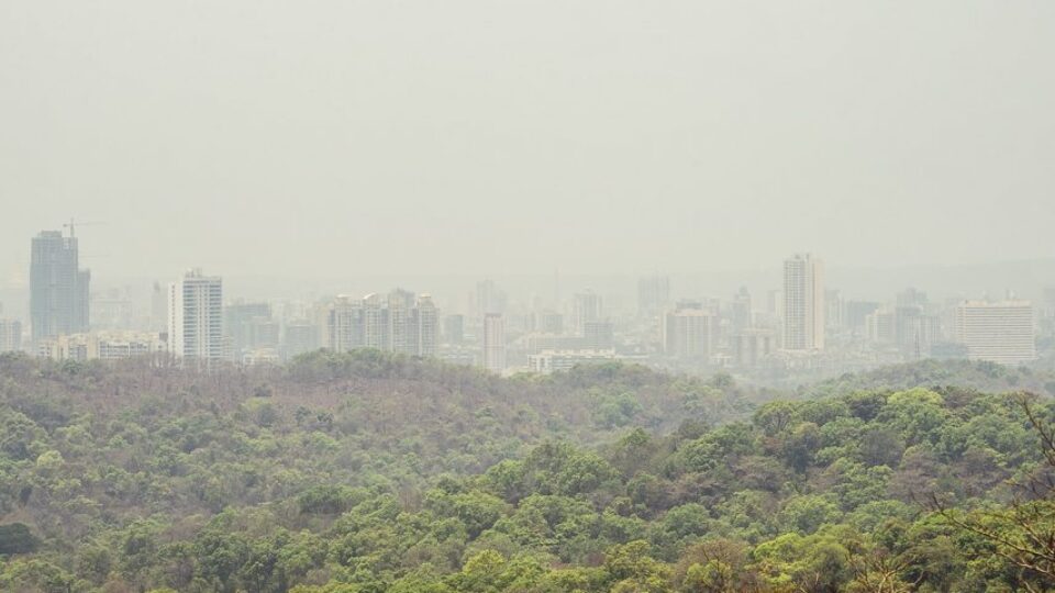 Mumbai: Sanjay Gandhi National Park