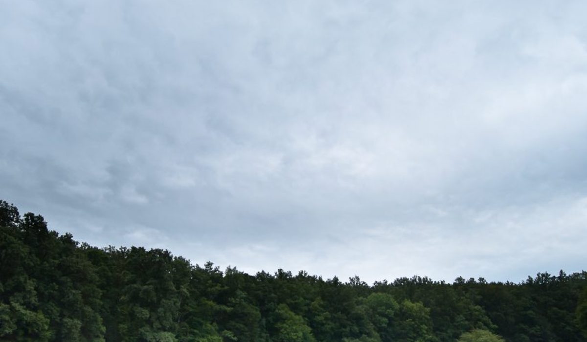 Lainzer Tiergarten