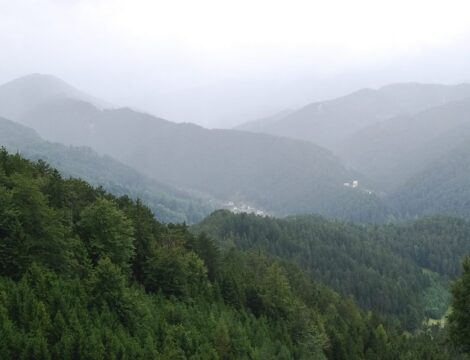 Großer Neukogel 1053 m