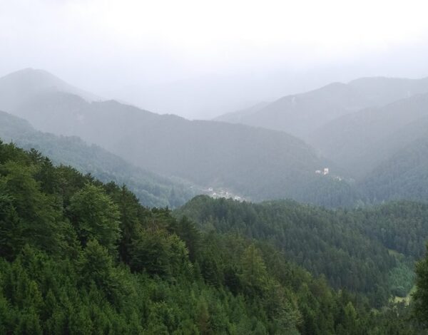 Großer Neukogel 1053 m