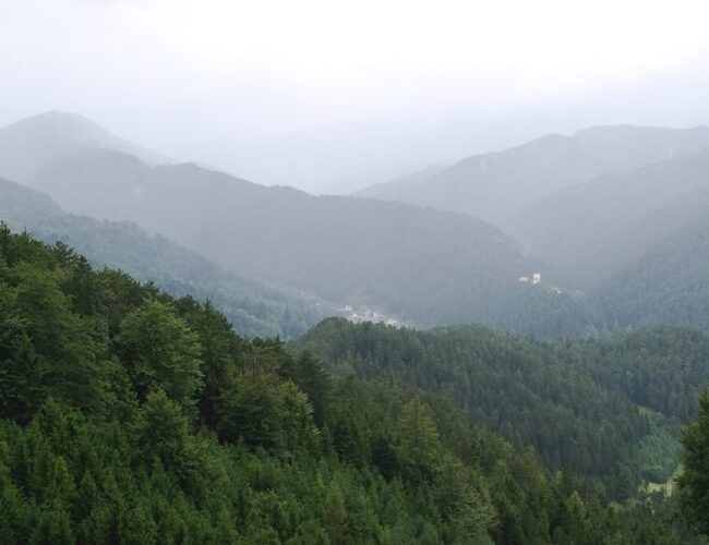 Großer Neukogel 1053 m