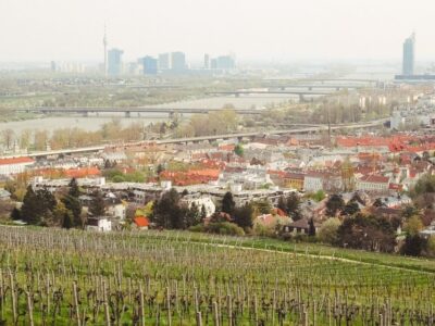 Nussberg bei Wien