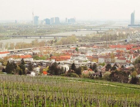 Nussberg bei Wien