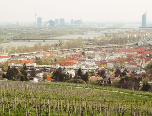 Nussberg bei Wien