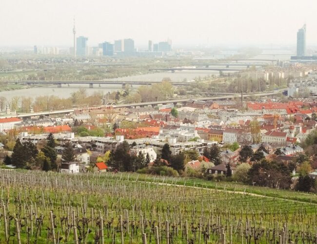 Nussberg bei Wien