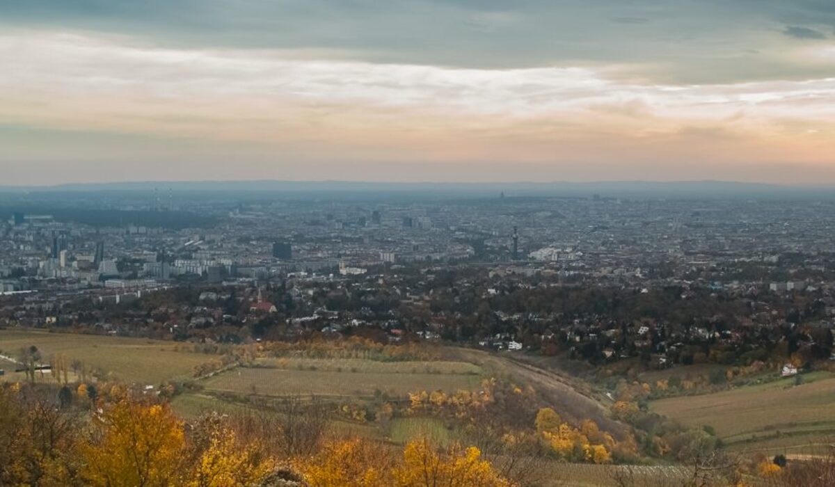 Leopoldsberg 425 m