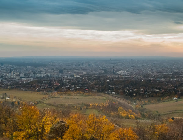 Leopoldsberg 425 m