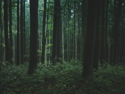 Nature Park Purkersdorf