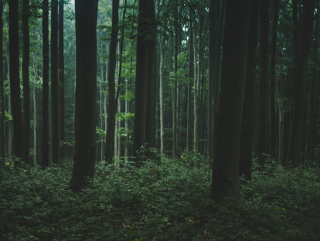 Nature Park Purkersdorf