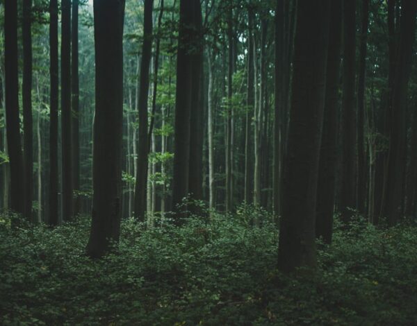 Nature Park Purkersdorf