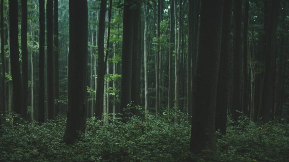 Nature Park Purkersdorf