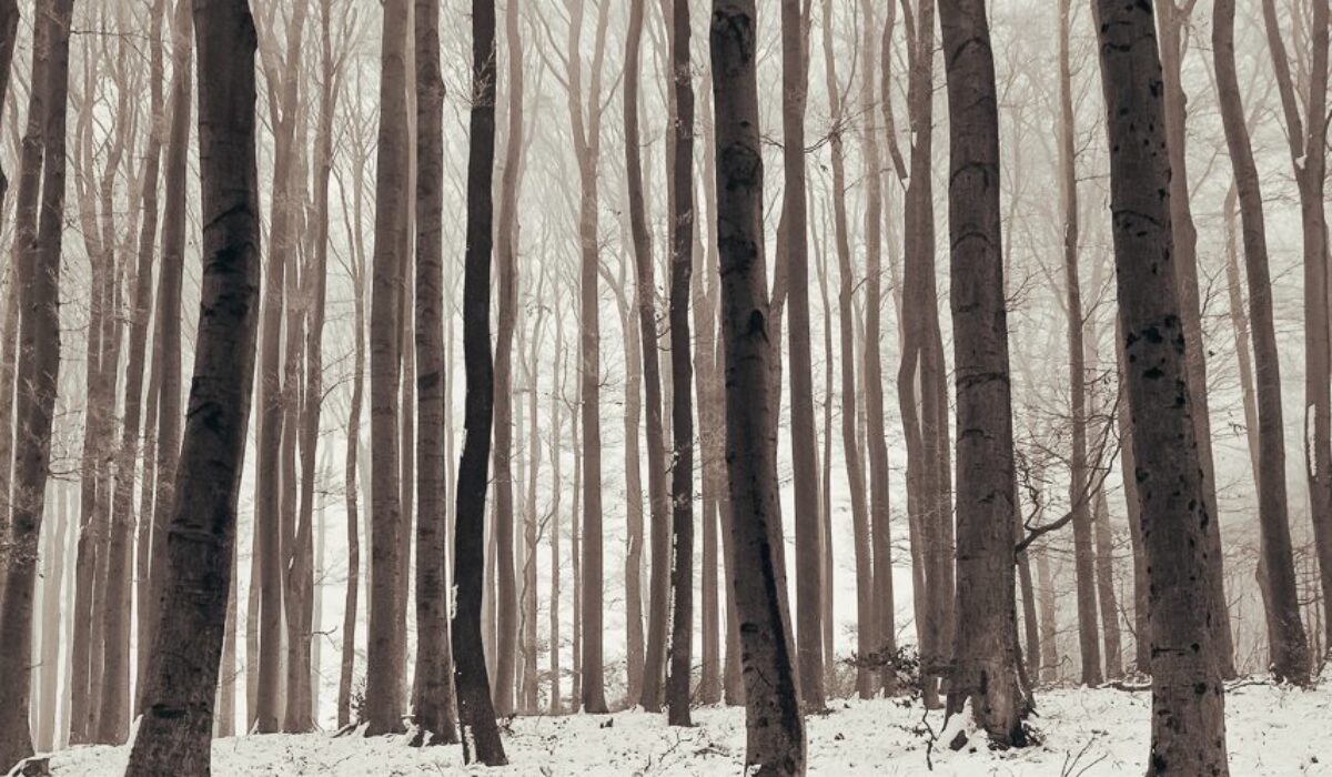 Nature Park Purkersdorf